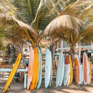 Beachside Palms Surf Boards